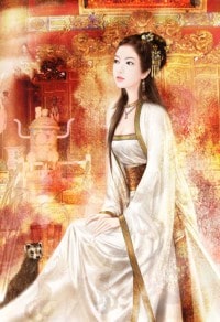 大宋狼煙,大宋狼煙