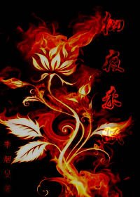 《徹夜未眠》