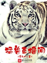 《猛獸直播間》