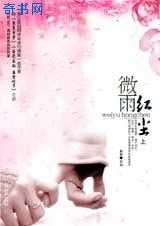微雨紅塵