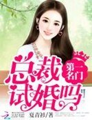 第一名門:總裁,試婚嗎