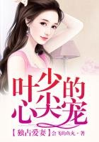 《獨佔愛妻,葉少的心尖寵》