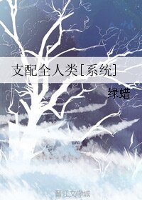 支配全人類[系統]