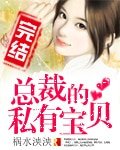 總裁的私有寶貝/總裁來襲