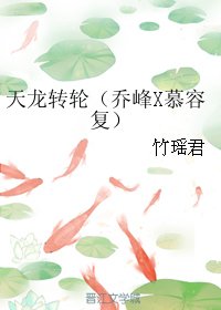 《(BL/天龍八部同人)天龍轉輪(喬峰X慕容復)》