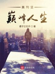《美利堅巔峰人生》
