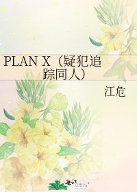 《PLAN X(疑犯追蹤同人)》