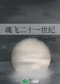 魂飛二十一世紀