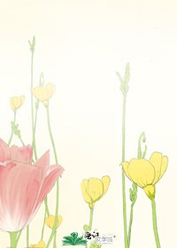 《九哥2》