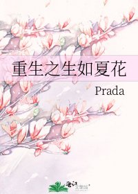 重生之生如夏花