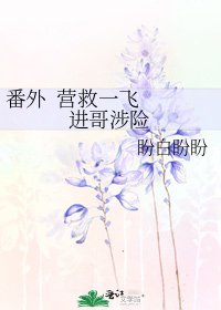 《番外 營救一飛 進哥涉險》