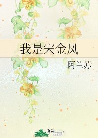 《我是宋金鳳》