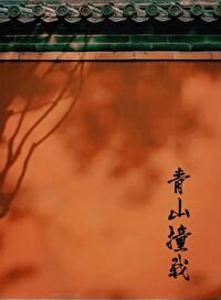 《青山撞我》