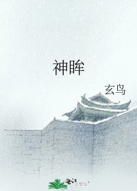 《神眸》