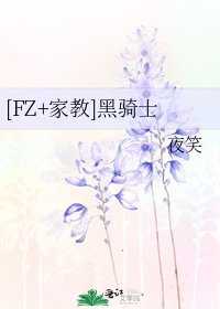 [FZ+家教]黑騎士