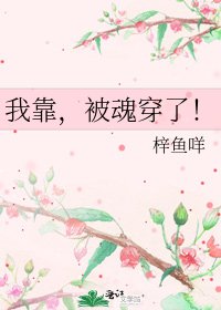 《我靠,被魂穿了!》