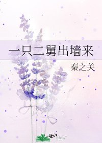 《一隻二舅出牆來》