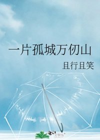《一片孤城萬仞山》