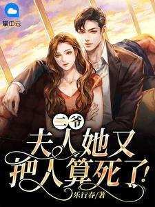 《二爺,夫人她又把人算死了!》