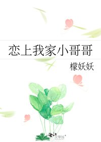 《戀上我家小哥哥》