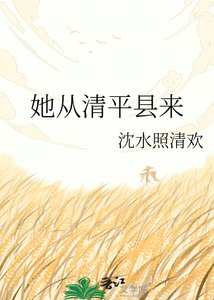 《她從清平縣來》